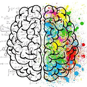 Un dessin représente les deux hémisphères du cerveau humain. Sur le gauche il y a des équations mathématiques. Sur le droit des taches de peintures de toutes les couleurs.