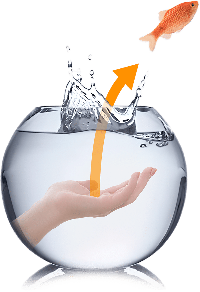coaching-dirigeants